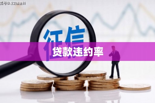 神冈贷款违约率