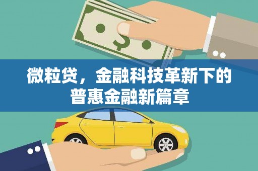 神冈微粒贷，金融科技革新下的普惠金融新篇章