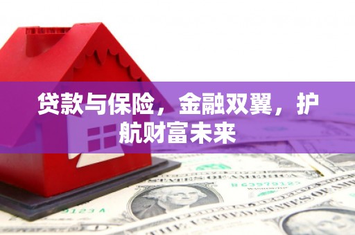 神冈贷款与保险，金融双翼，护航财富未来