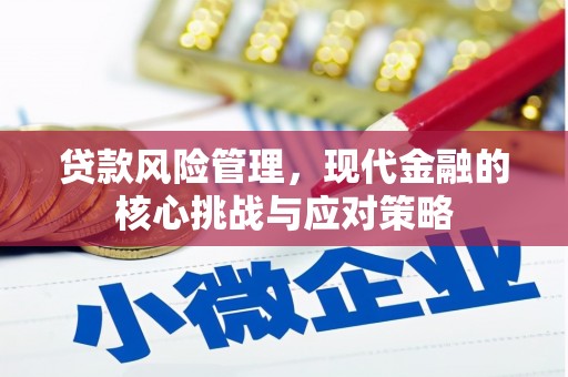 神冈贷款风险管理，现代金融的核心挑战与应对策略
