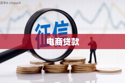 神冈电商贷款