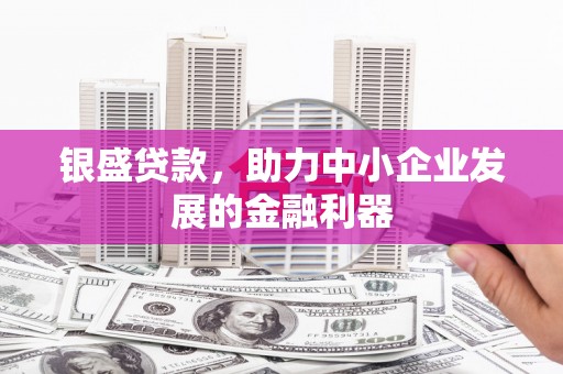 神冈银盛贷款，助力中小企业发展的金融利器