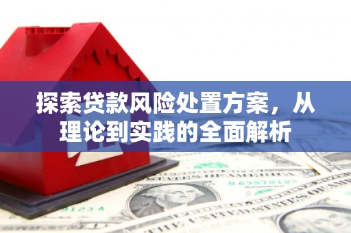 神冈探索贷款风险处置方案，从理论到实践的全面解析