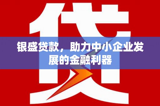 神冈银盛贷款，助力中小企业发展的金融利器