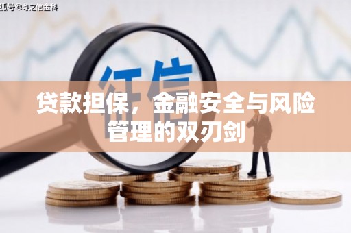 神冈贷款担保，金融安全与风险管理的双刃剑