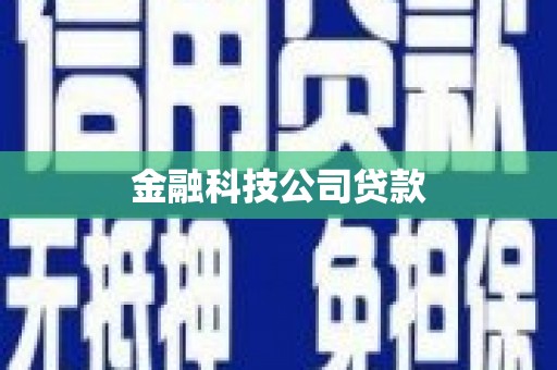 神冈金融科技公司贷款