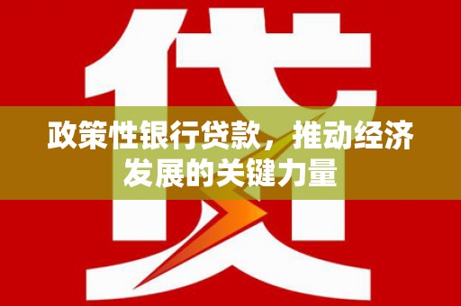 神冈政策性银行贷款，推动经济发展的关键力量