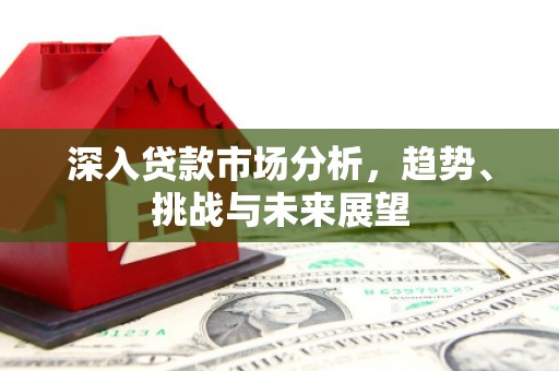 神冈深入贷款市场分析，趋势、挑战与未来展望