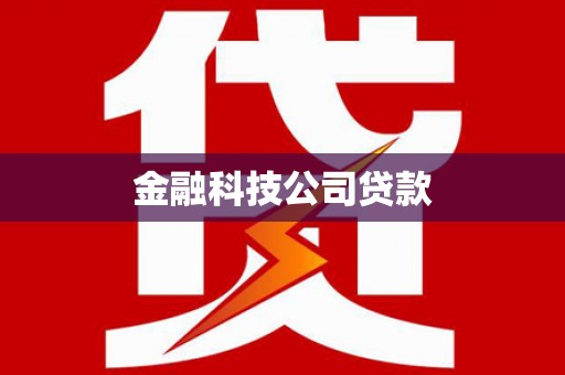 神冈金融科技公司贷款