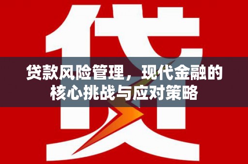 神冈贷款风险管理，现代金融的核心挑战与应对策略