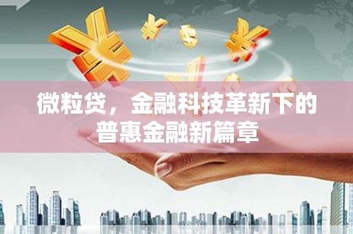 神冈微粒贷，金融科技革新下的普惠金融新篇章