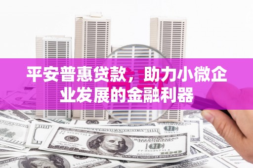 神冈平安普惠贷款，助力小微企业发展的金融利器