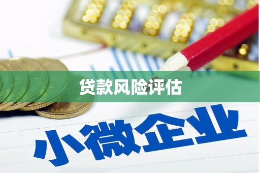 神冈贷款风险评估
