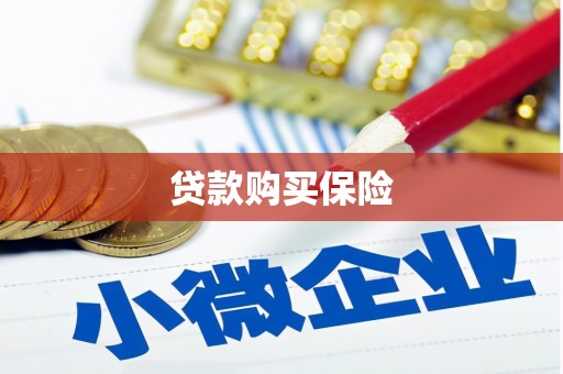 神冈贷款购买保险