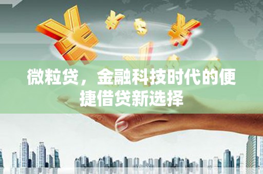 神冈微粒贷，金融科技时代的便捷借贷新选择