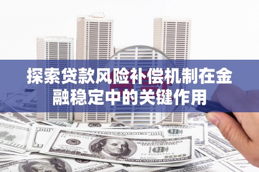 神冈探索贷款风险补偿机制在金融稳定中的关键作用