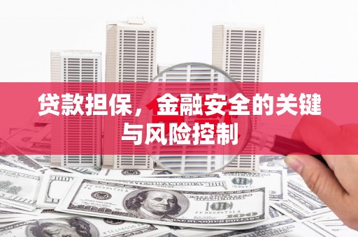 神冈贷款担保，金融安全的关键与风险控制