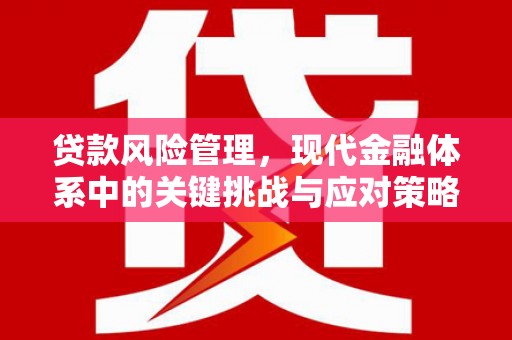 神冈贷款风险管理，现代金融体系中的关键挑战与应对策略