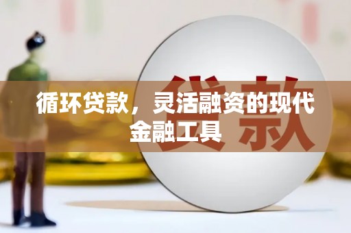 神冈循环贷款，灵活融资的现代金融工具