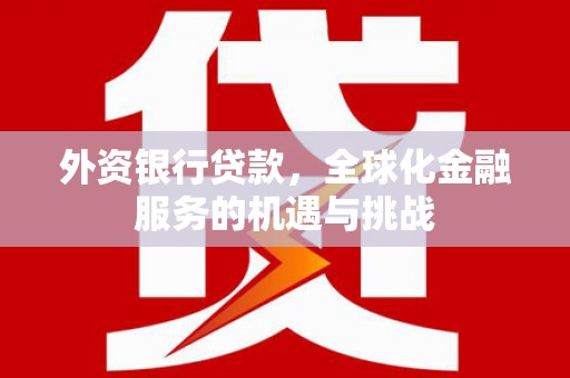 神冈外资银行贷款，全球化金融服务的机遇与挑战