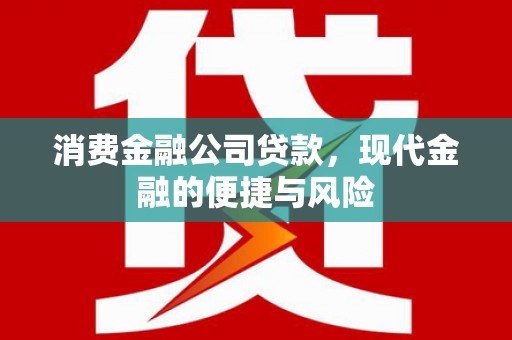 神冈消费金融公司贷款，现代金融的便捷与风险