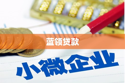 神冈蓝领贷款