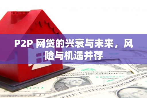 神冈P2P 网贷的兴衰与未来，风险与机遇并存