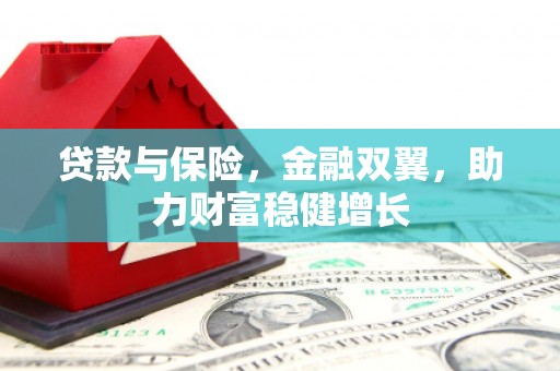 神冈贷款与保险，金融双翼，助力财富稳健增长